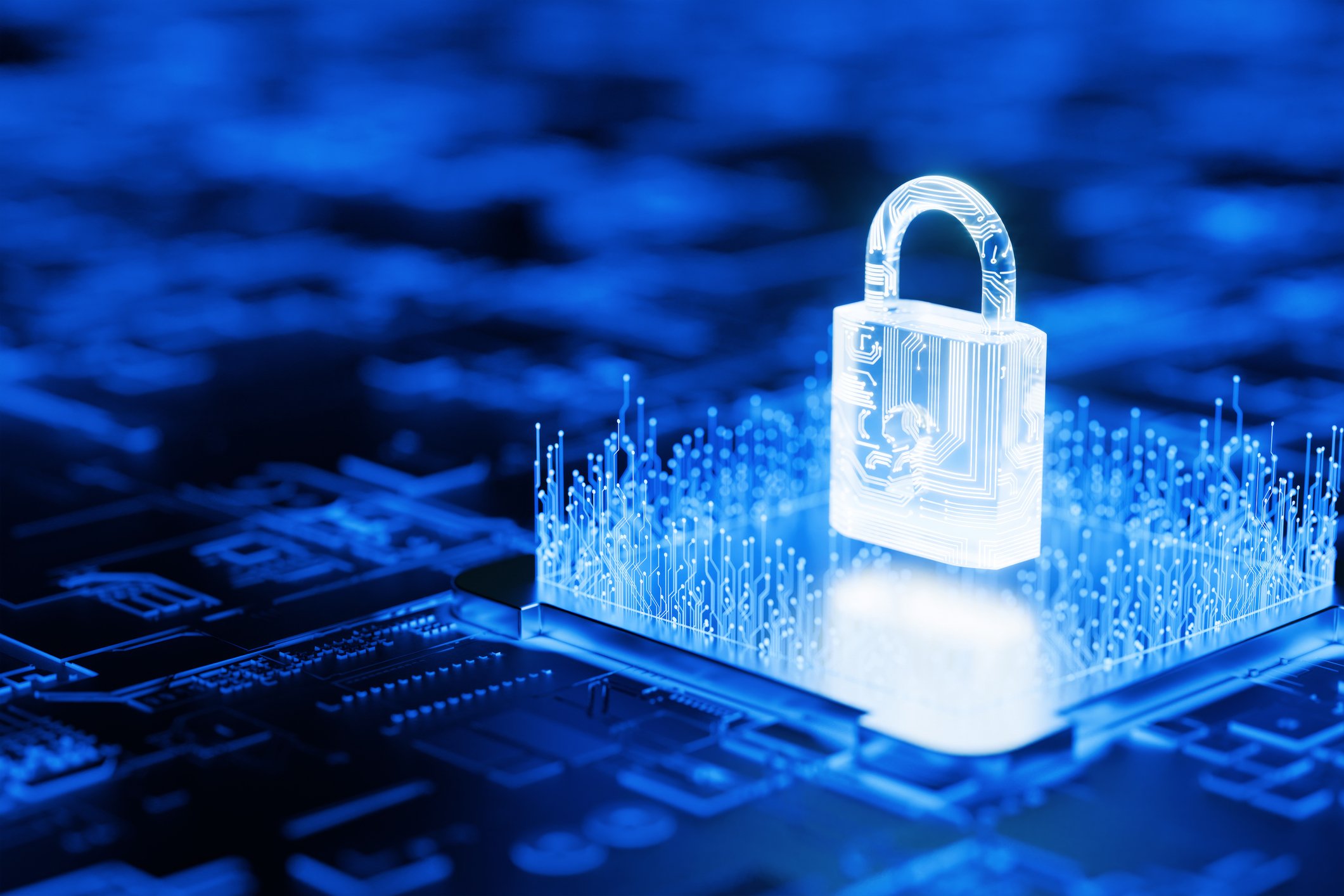 Keeping Your Financial Data Safe